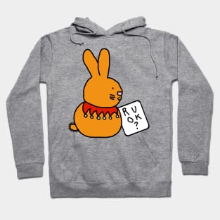 Bunny Rabbit Wants to Know R U OK? Hoodie